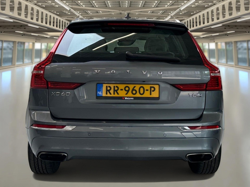 52887475-2.jpg