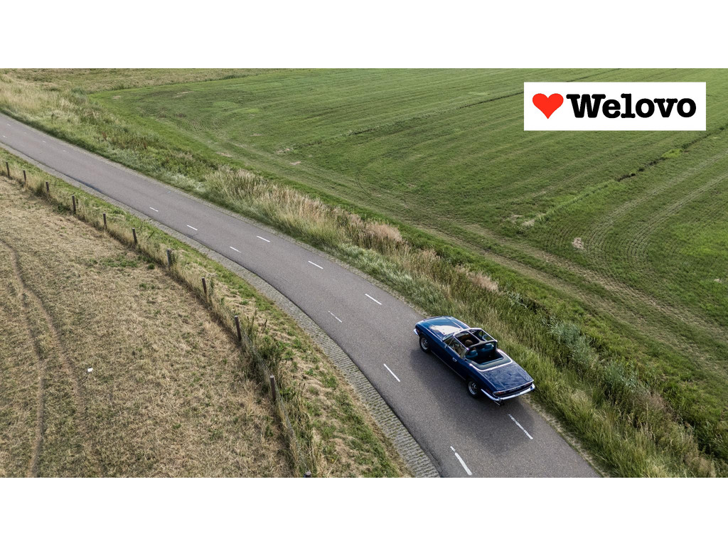 54864606